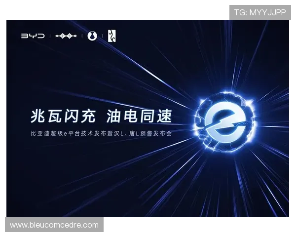 天生赢家一触即发凯发：从新手到高手的成长路径与实用训练方法推荐