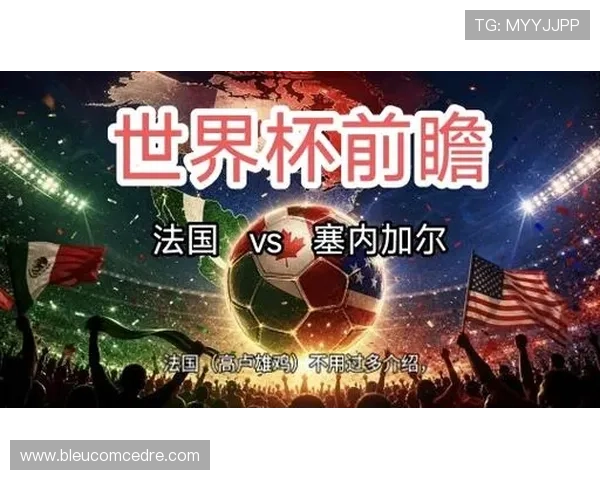 世界杯法国对阵塞内加尔比赛专家全面分析与赛前预测指南